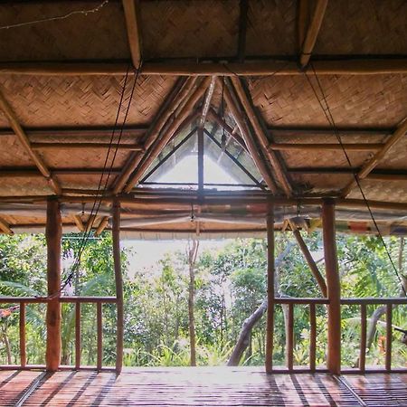콘세프시온 Busuanga Backpackers 호스텔 외부 사진