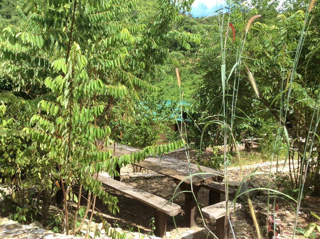콘세프시온 Busuanga Backpackers 호스텔 외부 사진