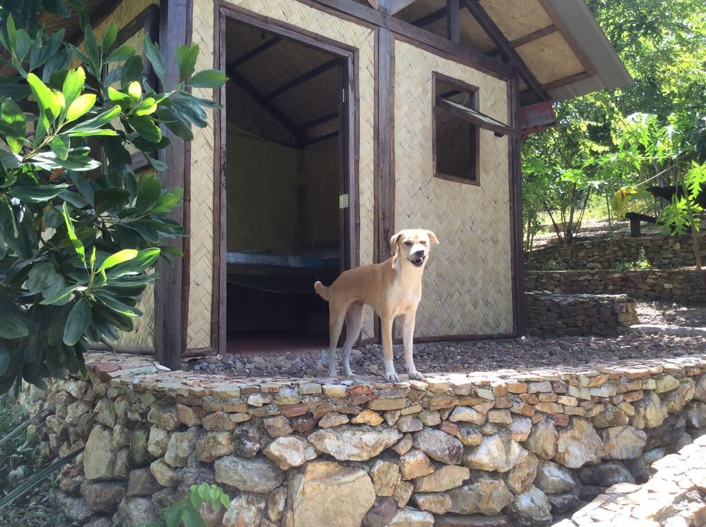 콘세프시온 Busuanga Backpackers 호스텔 객실 사진