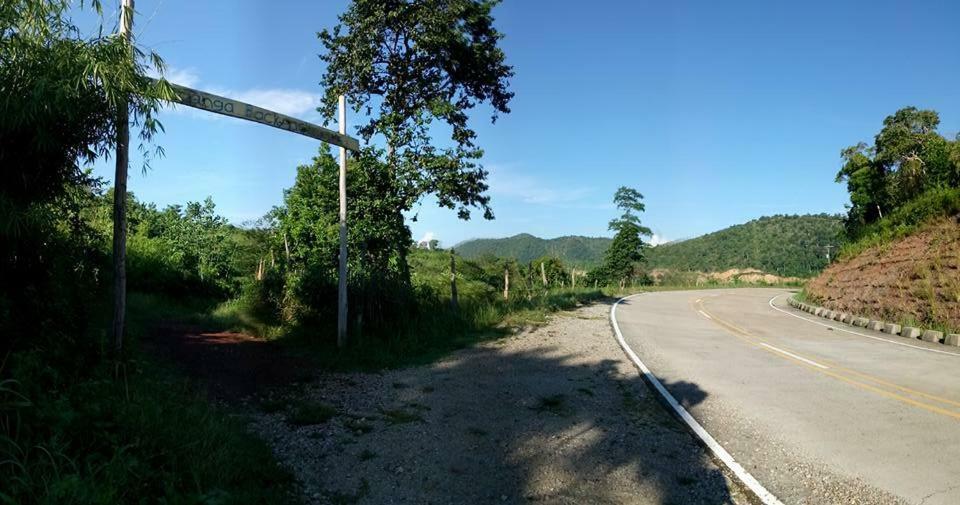 콘세프시온 Busuanga Backpackers 호스텔 외부 사진