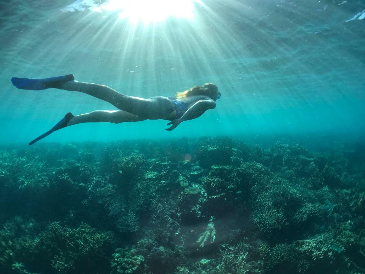 콘세프시온 Busuanga Backpackers 호스텔 외부 사진