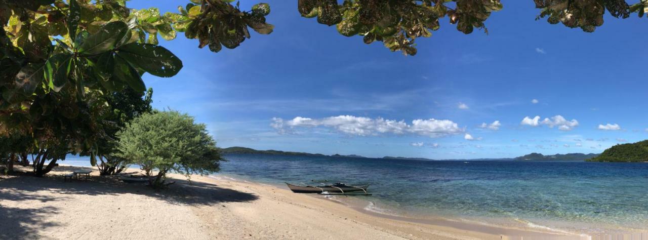 콘세프시온 Busuanga Backpackers 호스텔 외부 사진