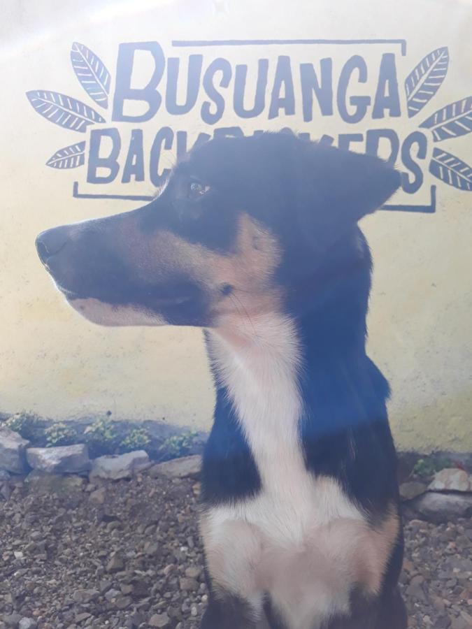 콘세프시온 Busuanga Backpackers 호스텔 외부 사진